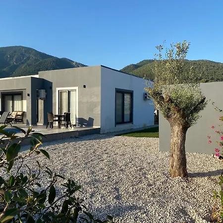 Karpuz * Φετιγιέ