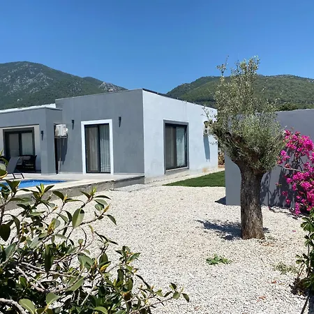 Karpuz * Φετιγιέ